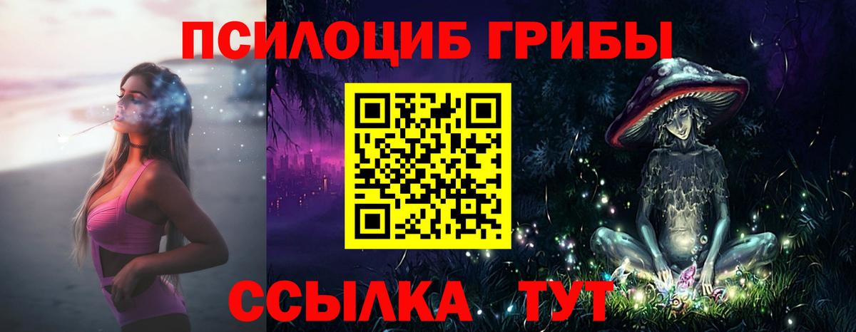 Карпинск  купить наркотики сайты  Вход с VPN  Псилоцибиновые грибы Magic Shrooms 